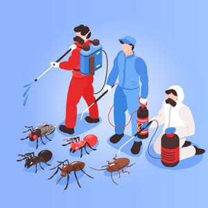 Pest Control